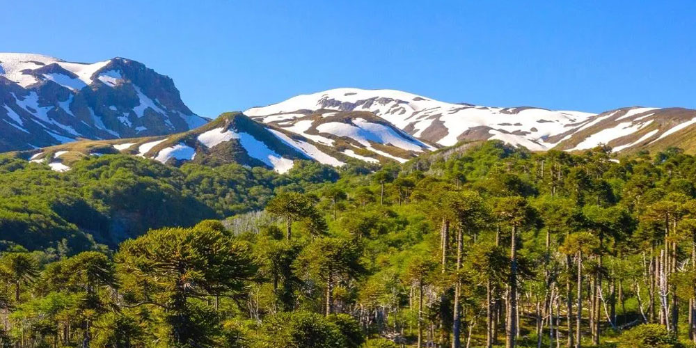 Parque Nacional Villarrica